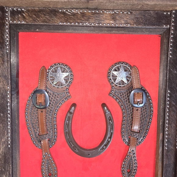 Western Rustic decor - Picture 2 of 5